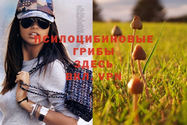 винт Белокуриха
