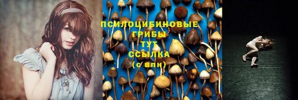 прущая мука Белоозёрский